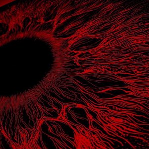 亚洲一日韩一欧美一级A片
