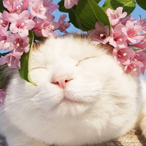 亚洲一日韩一欧美一级A片
